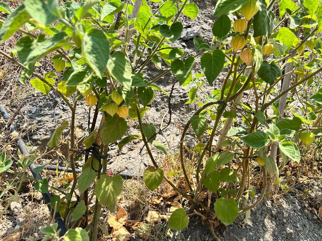 Property main view 19