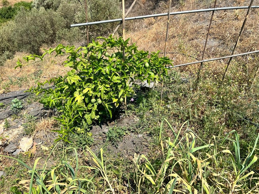 Property main view 21