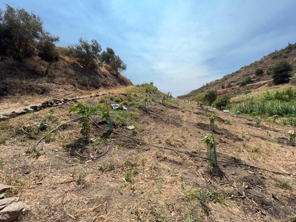 Property main view 24