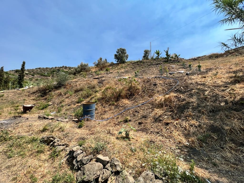 Property main view 25