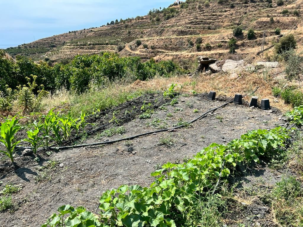 Property main view 26