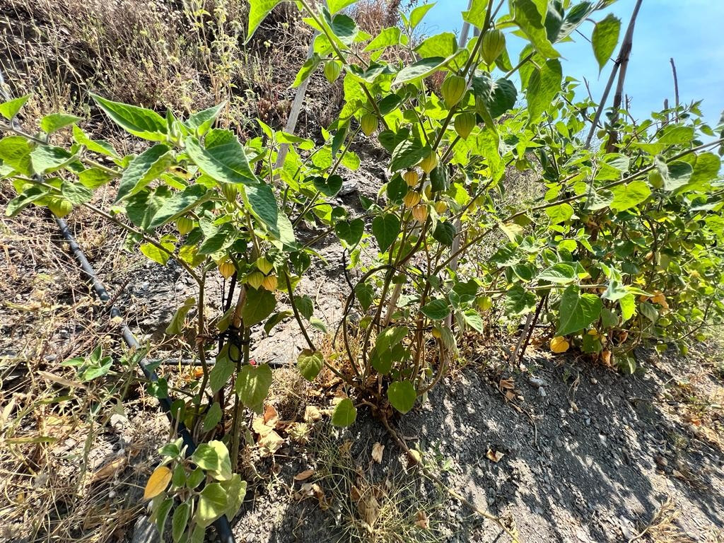 Property main view 27