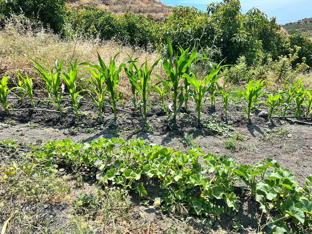 Property main view 28