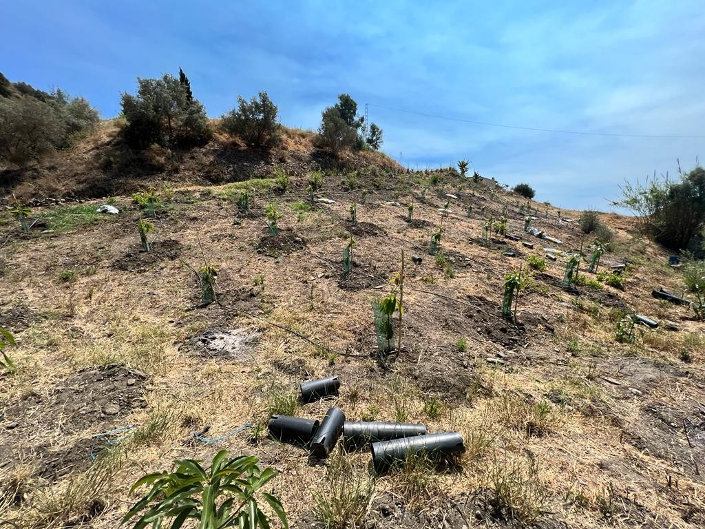 Property main view 32