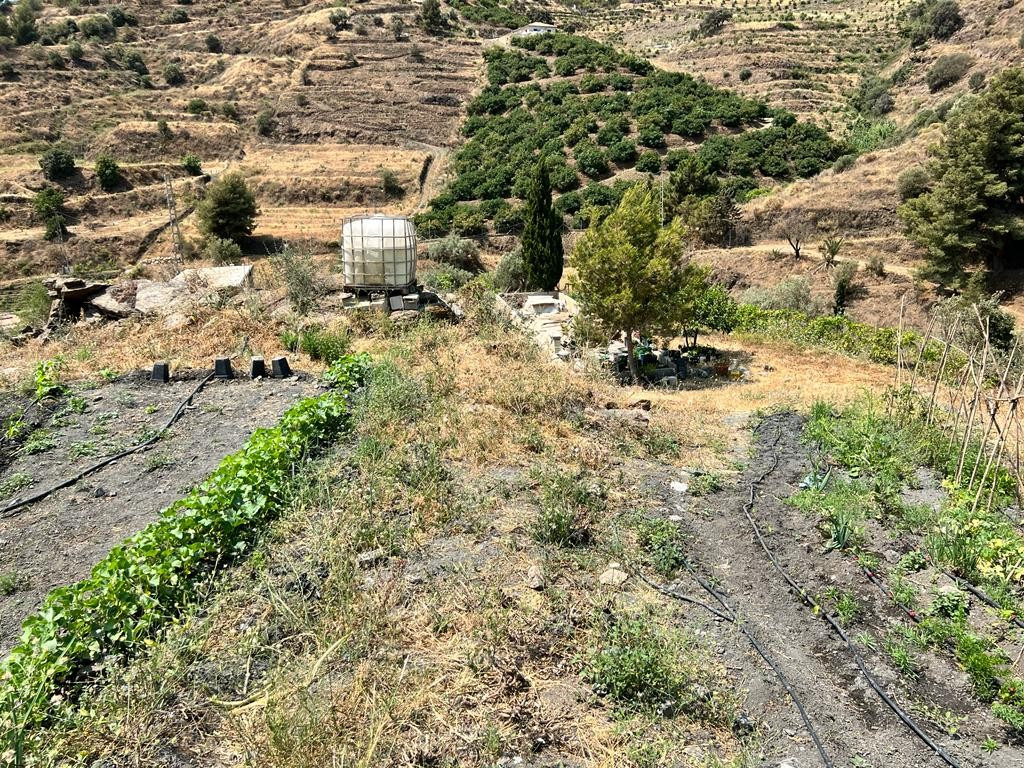 Property main view 33