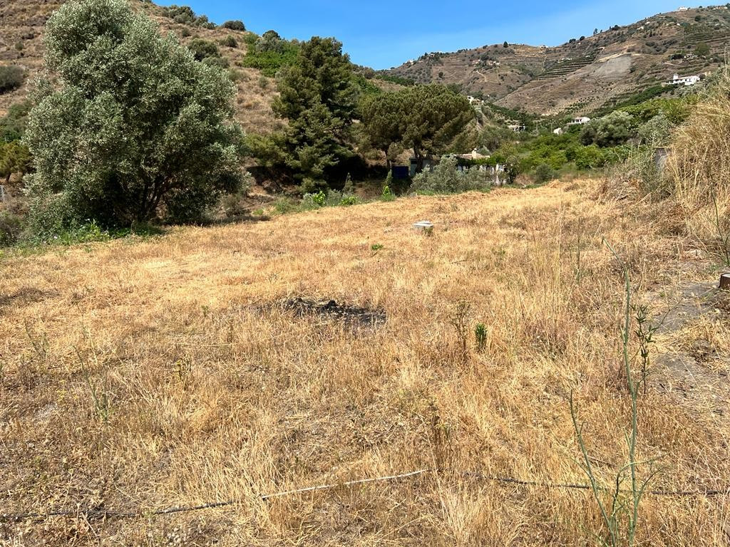 Property main view 34