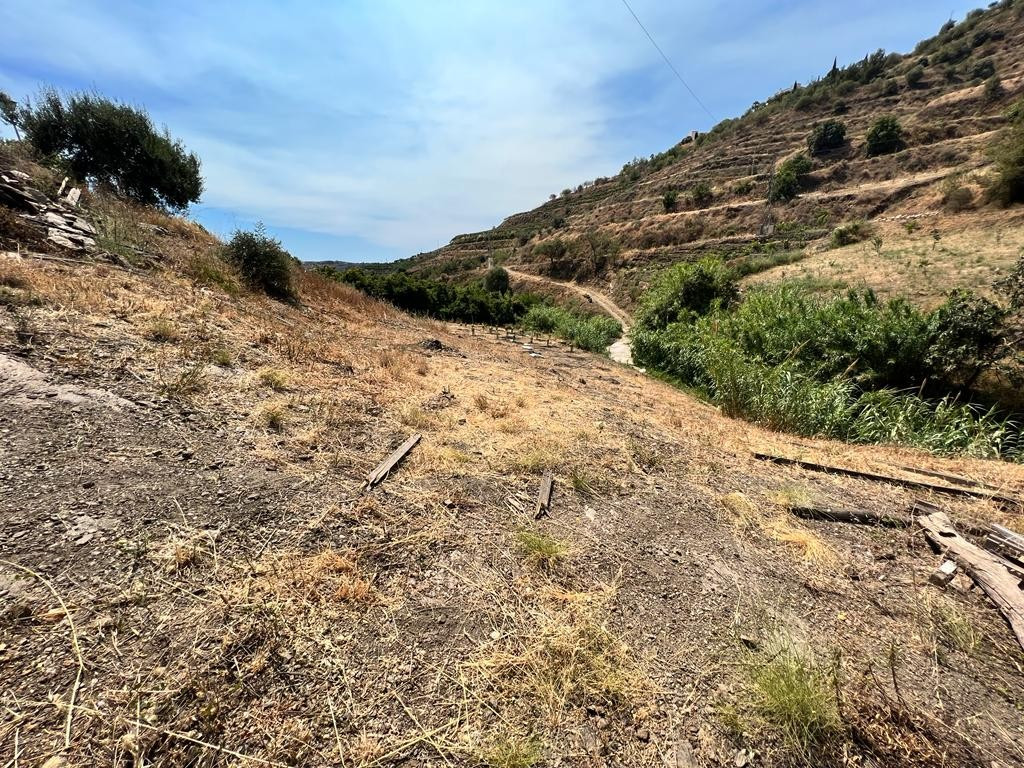 Property main view 37