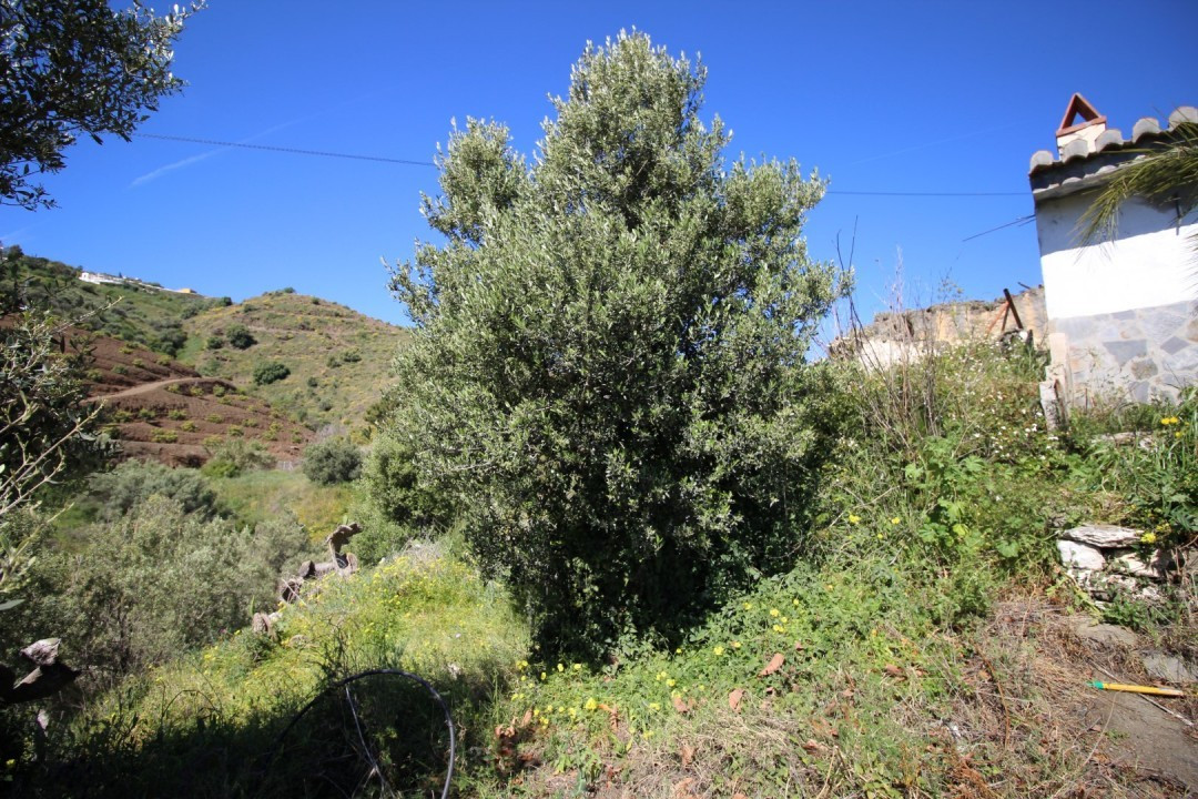 Property main view 9