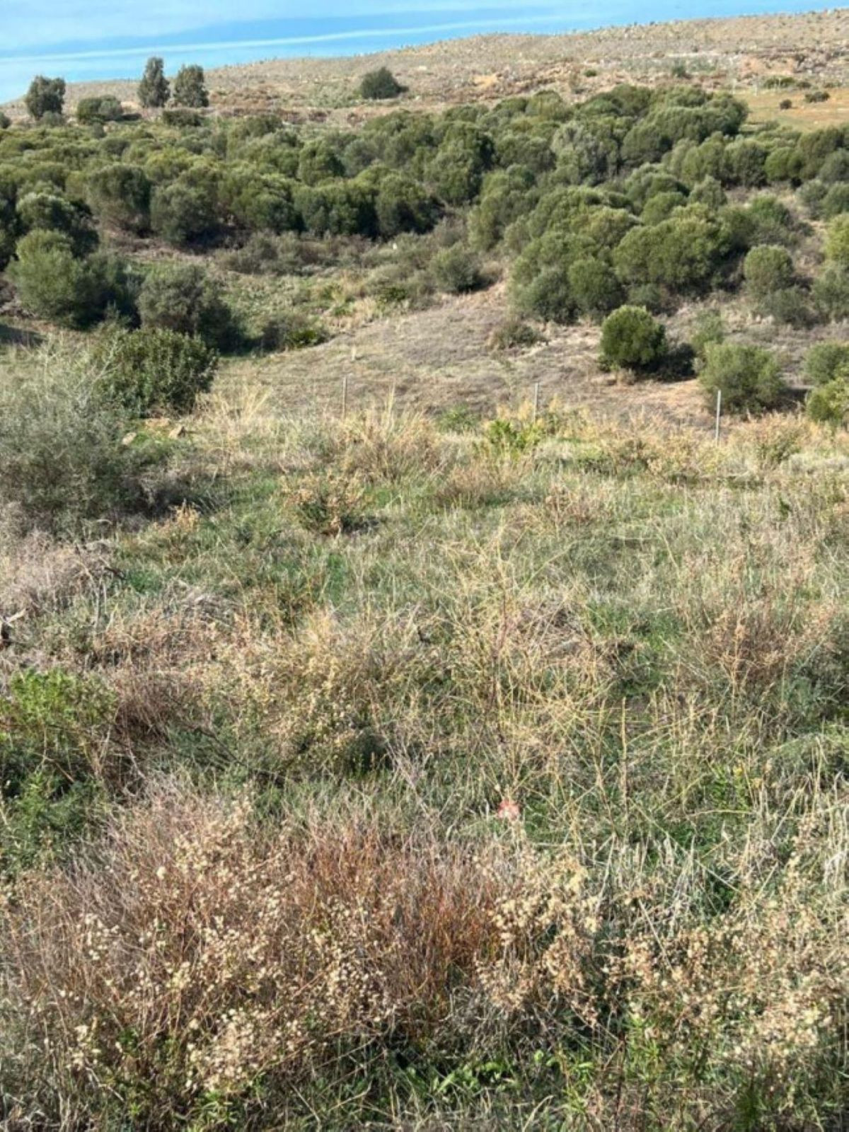 Residentiele Percelen in Valle Romano-1