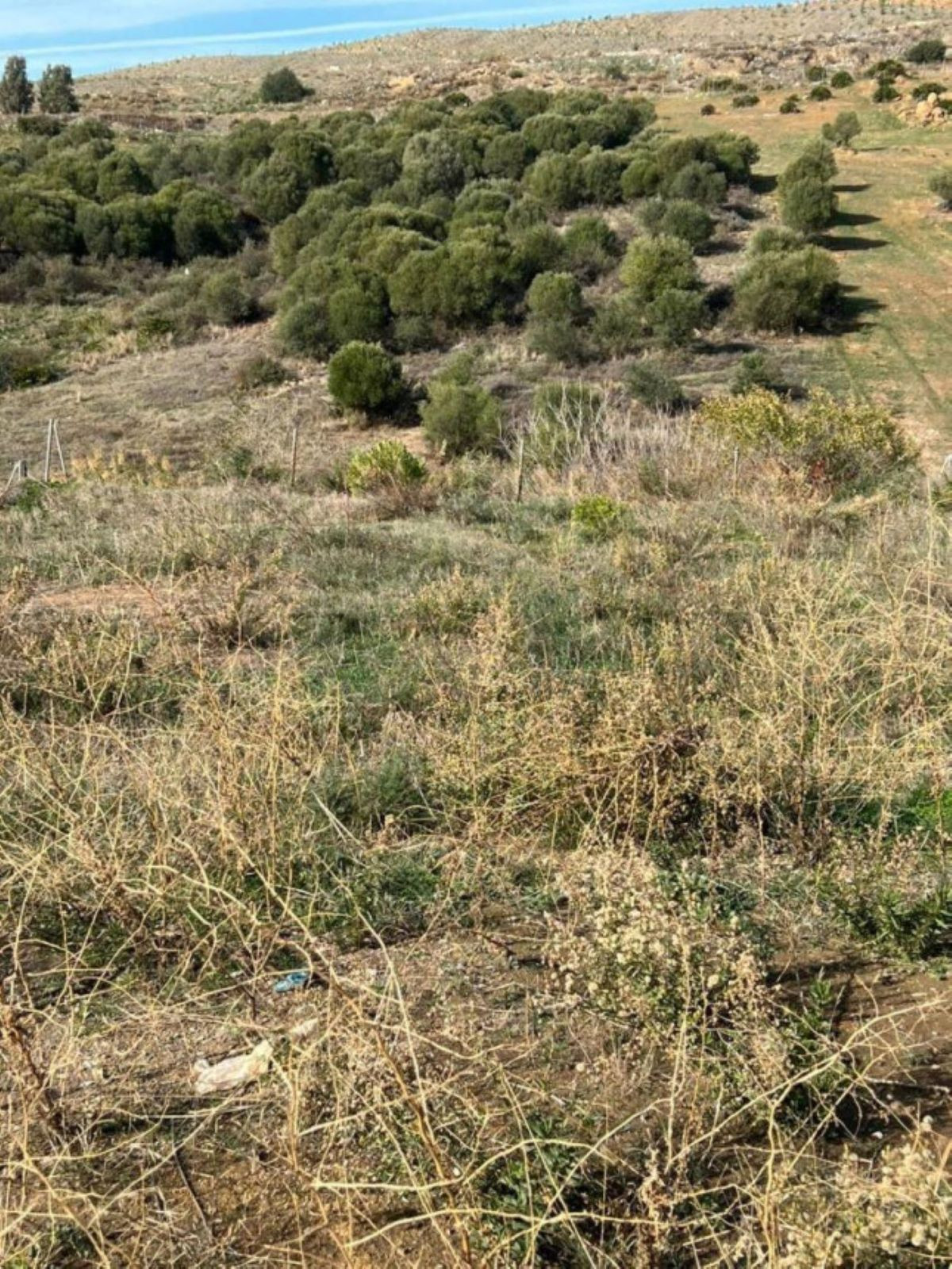 Residentiele Percelen in Valle Romano-2