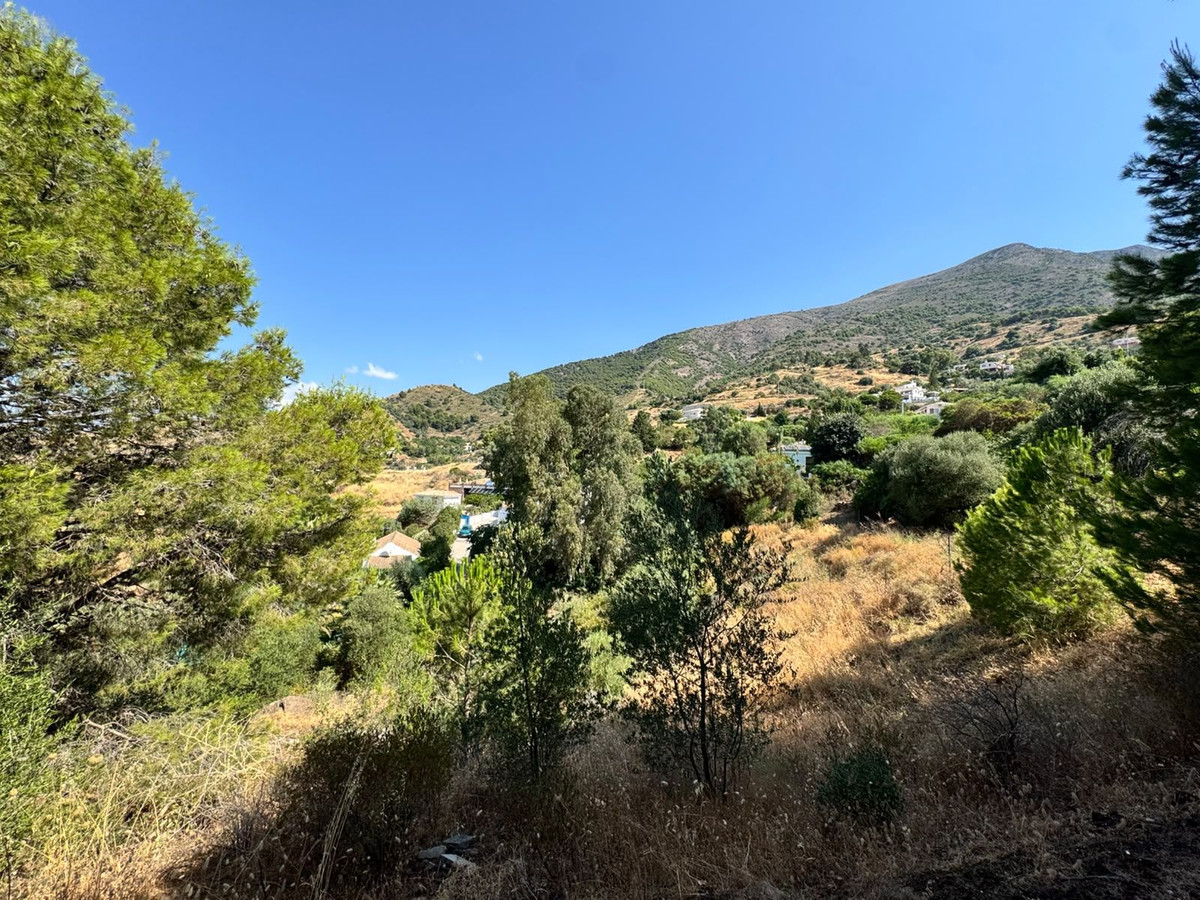 Property main view 11
