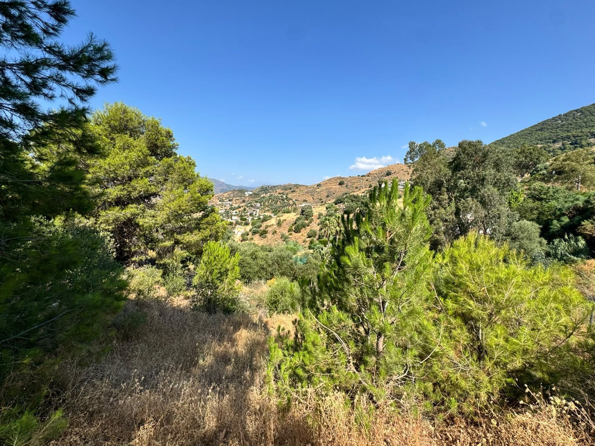 Property main view 15