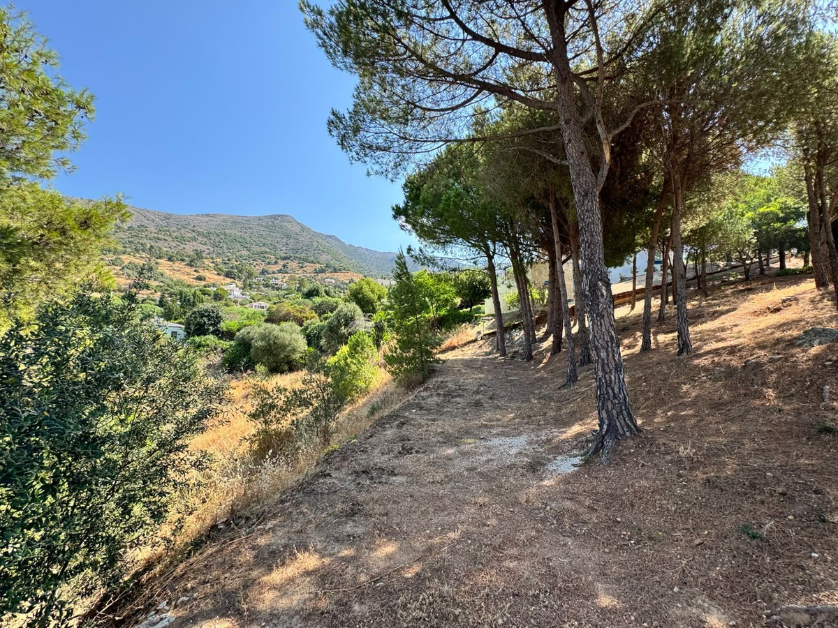 Property main view 17