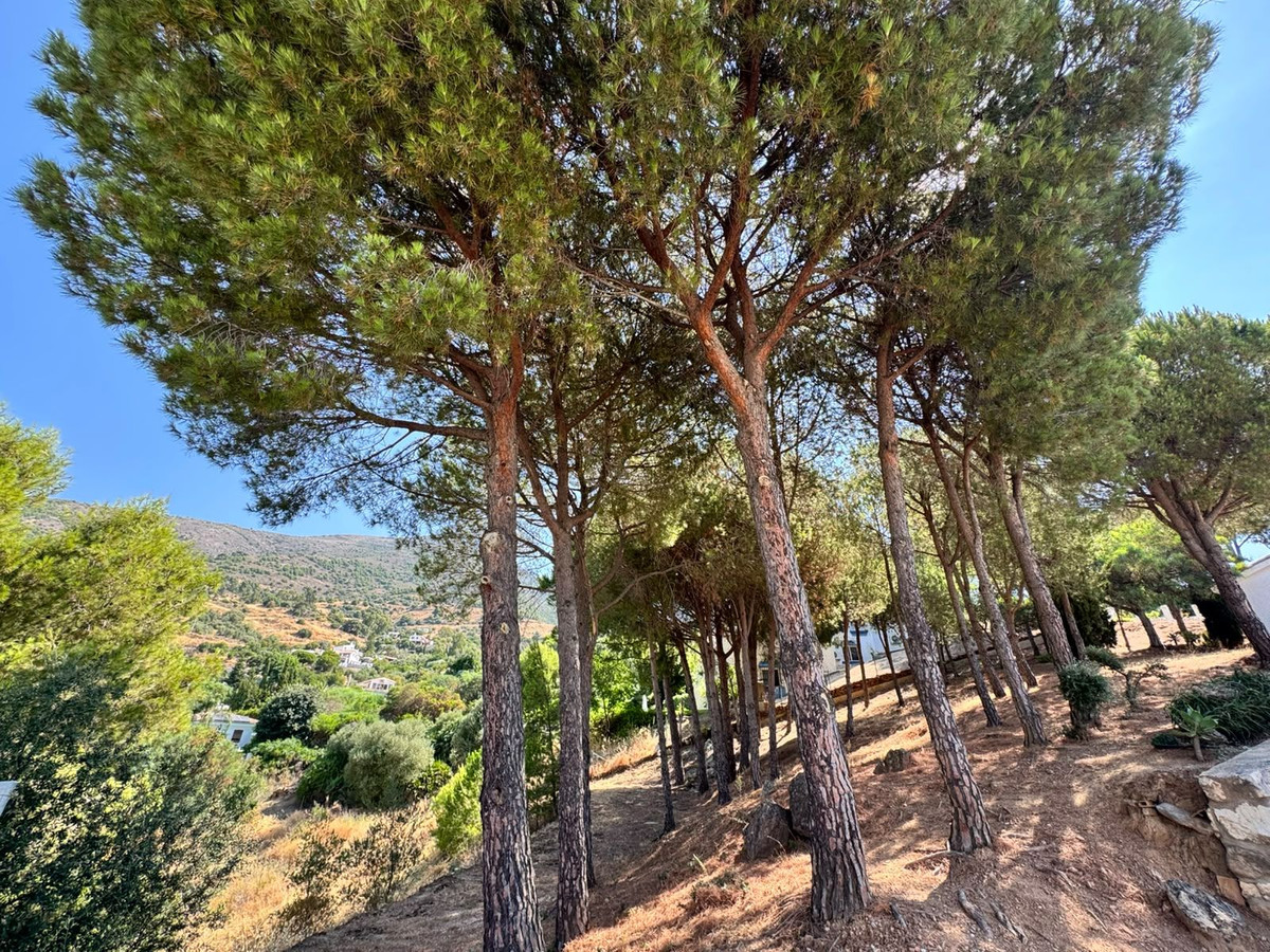 Property main view 18