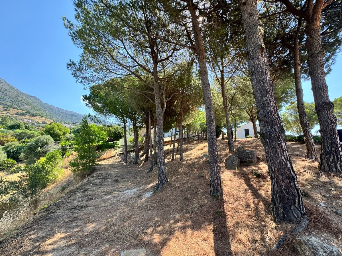Property main view 19