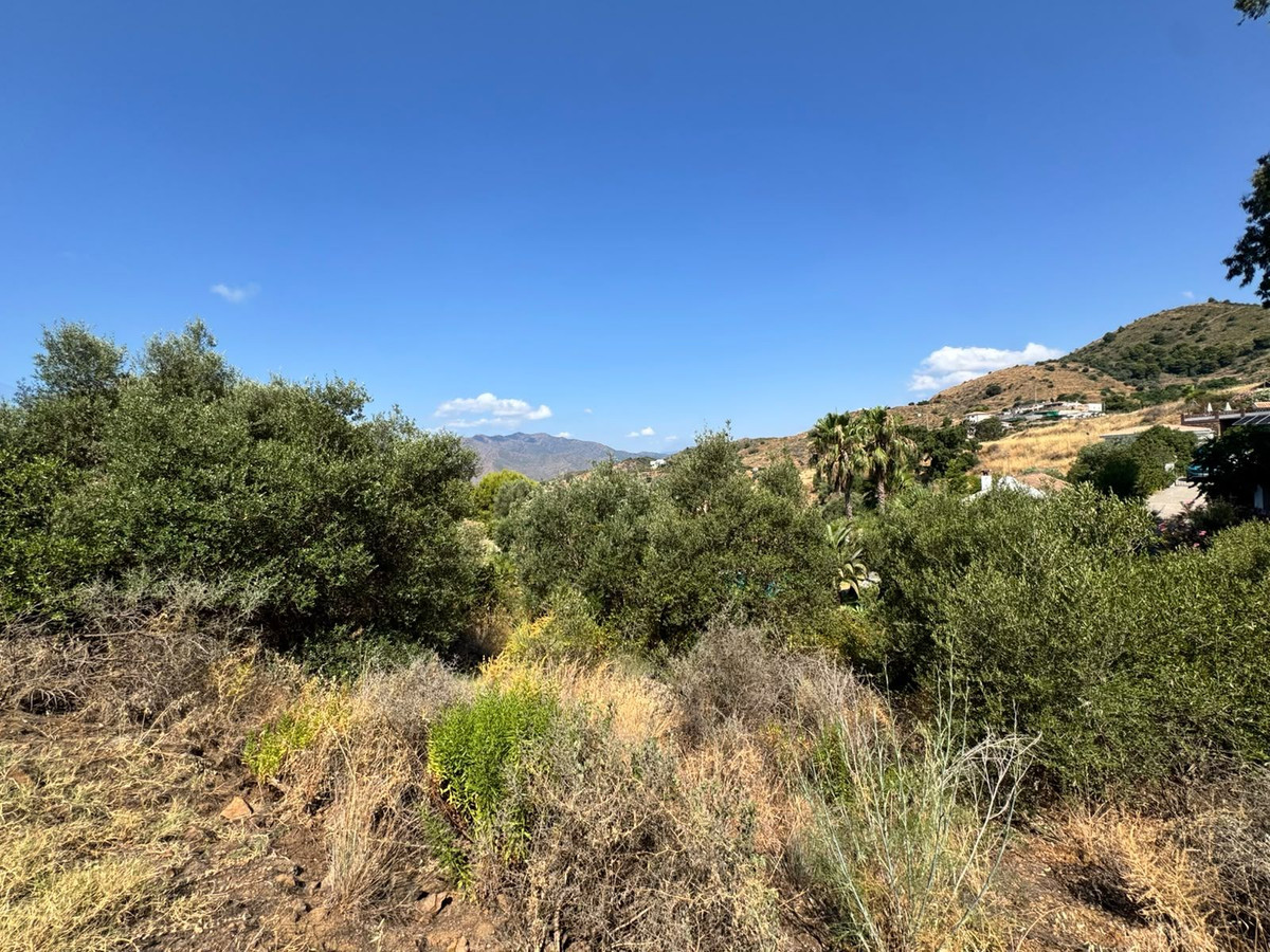 Property main view 2