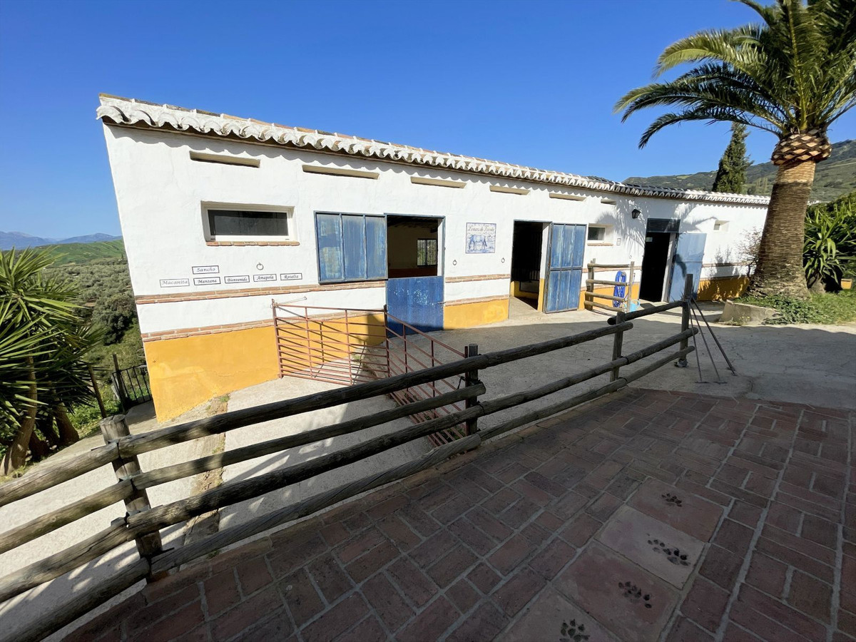 Property main view 41