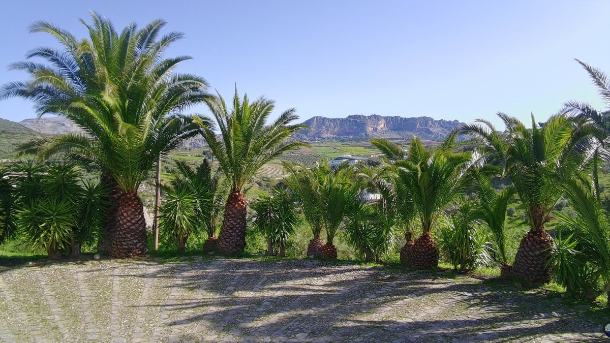 Property main view 43