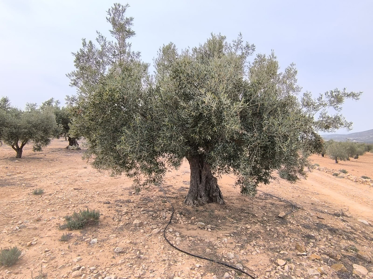 Property main view 7