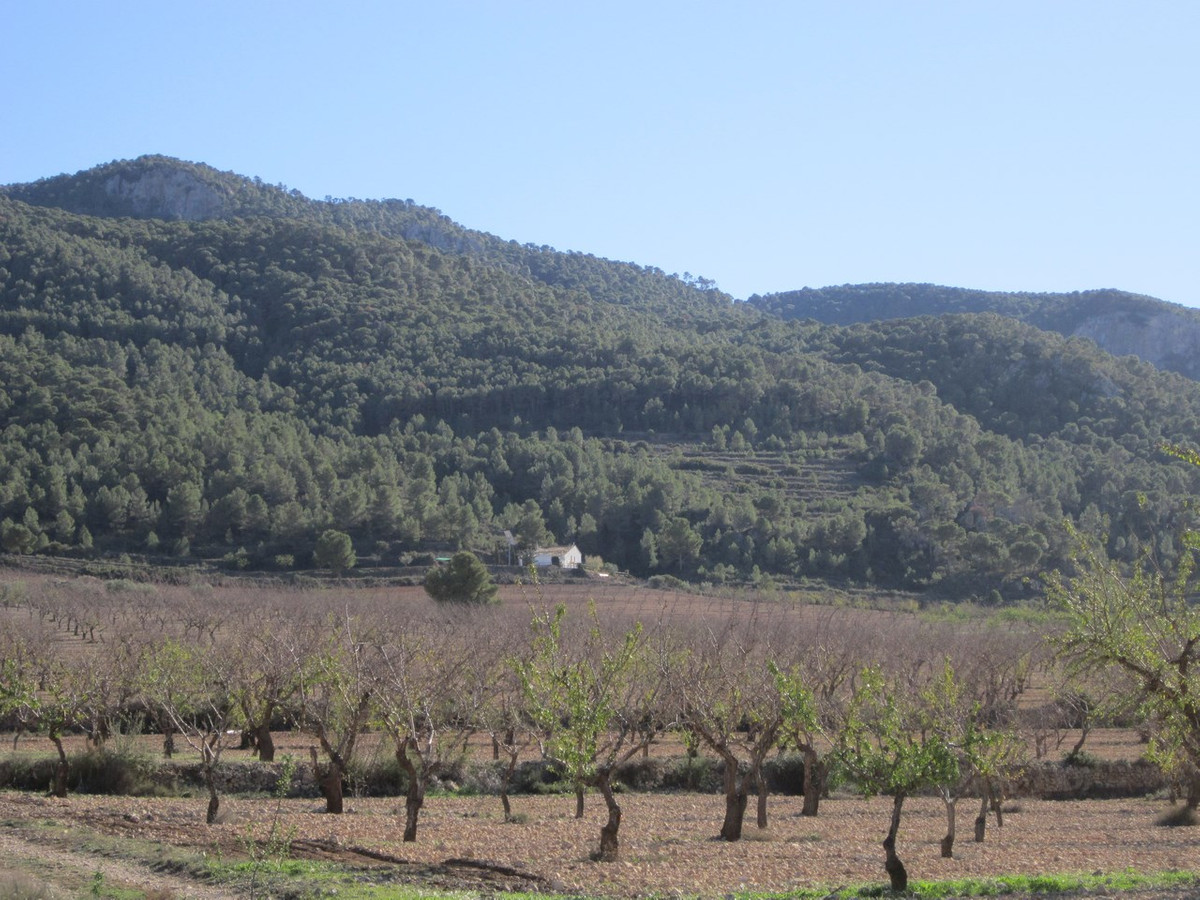 Grond te koop in Villena | 0 slaapkamers H5021905