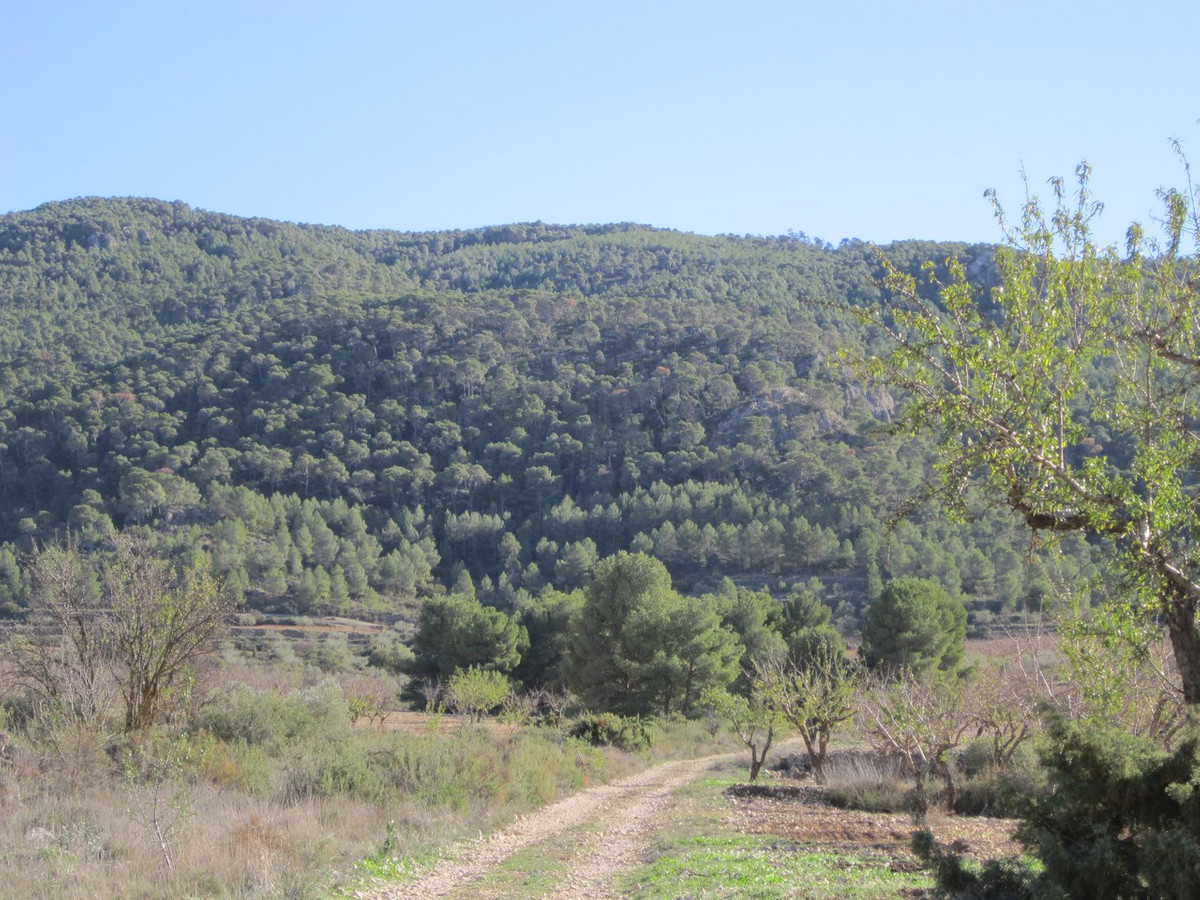 Grond te koop in Villena | 0 slaapkamers H5021905