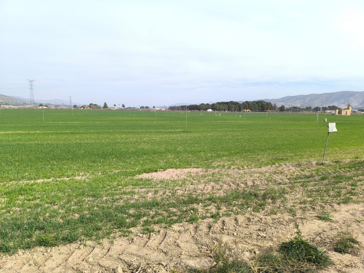 Property main view 5
