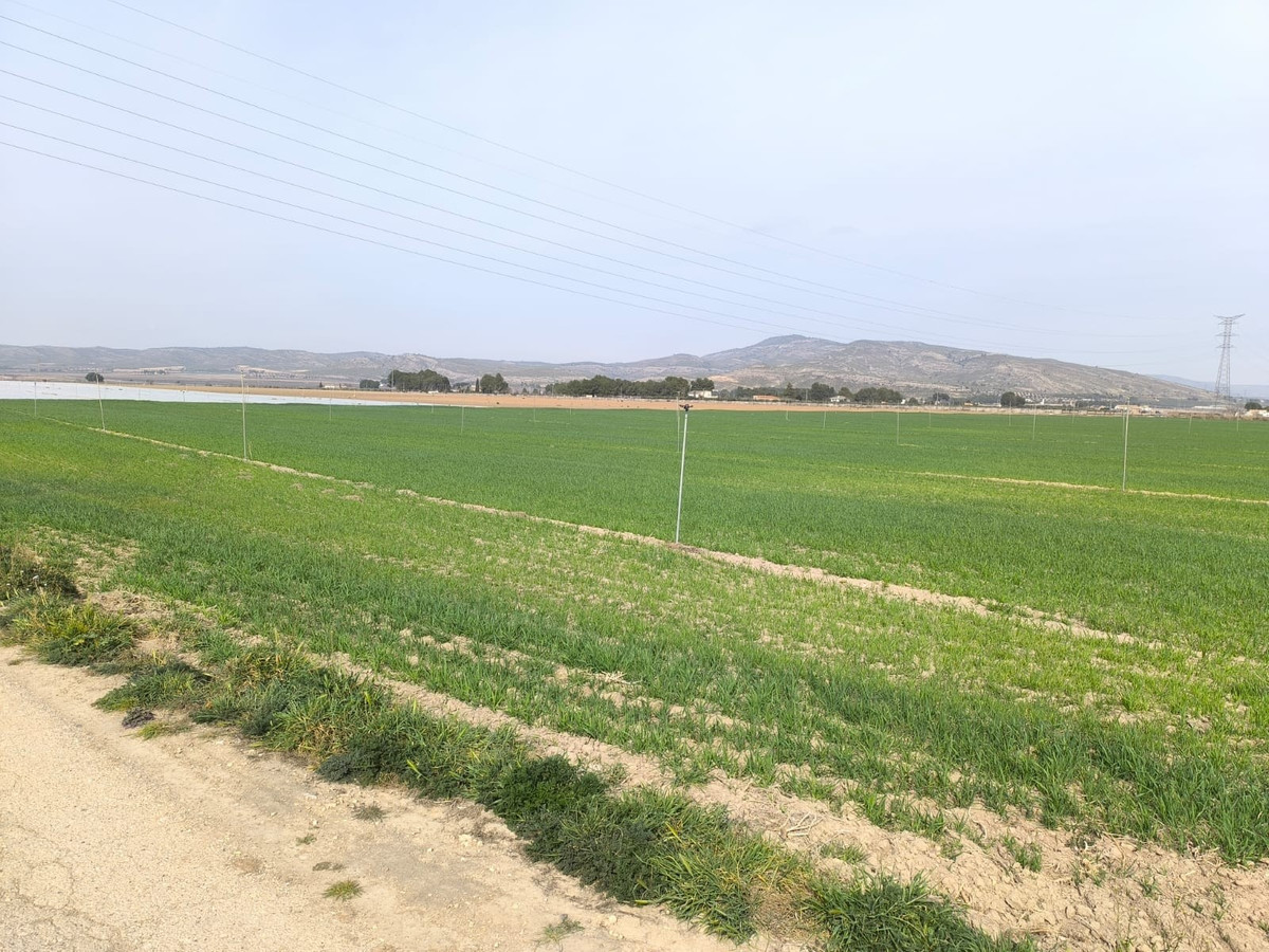 Property main view 6