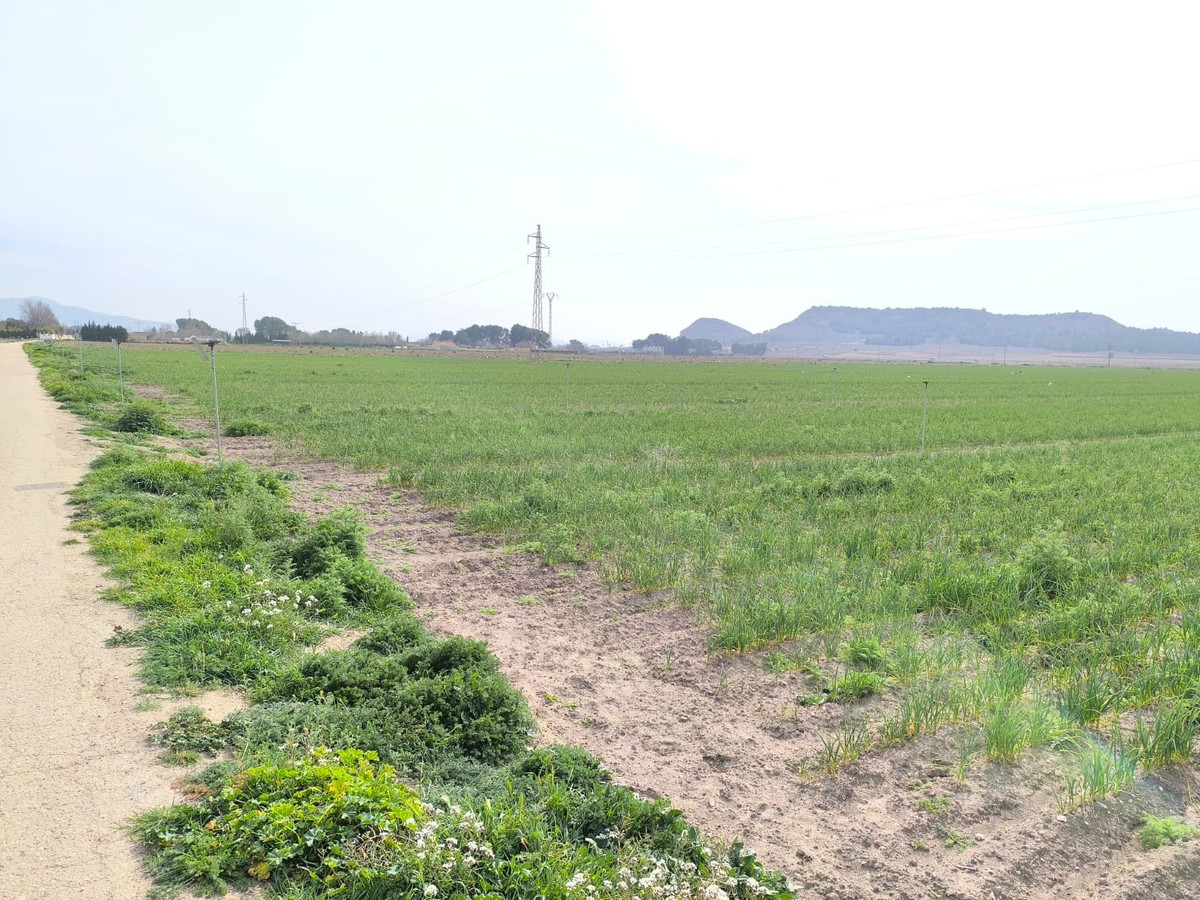 Property main view 8