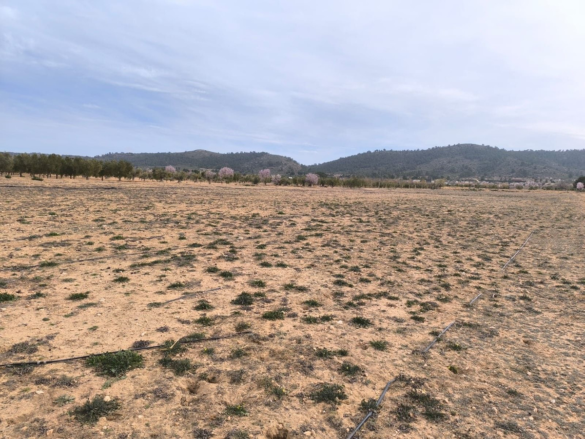 Property main view 4