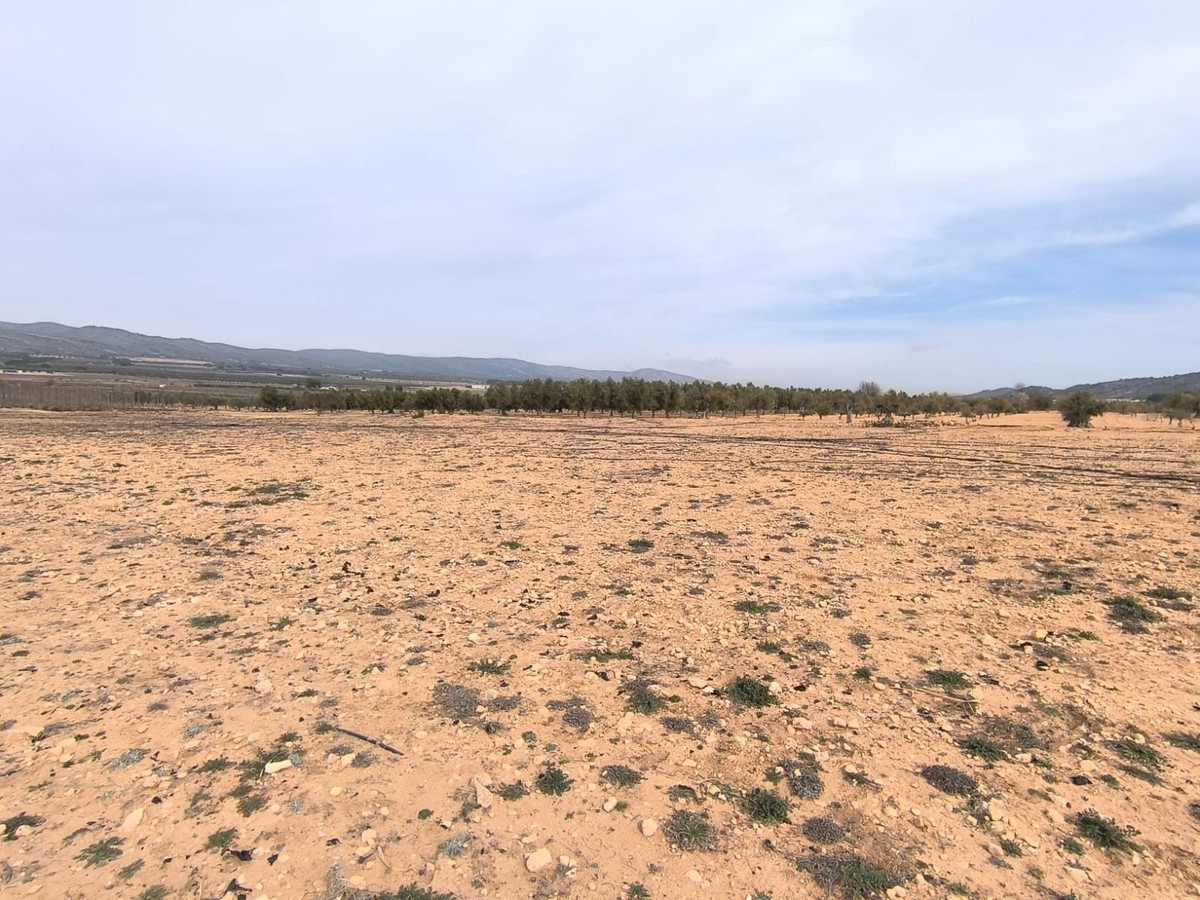 Property main view 6