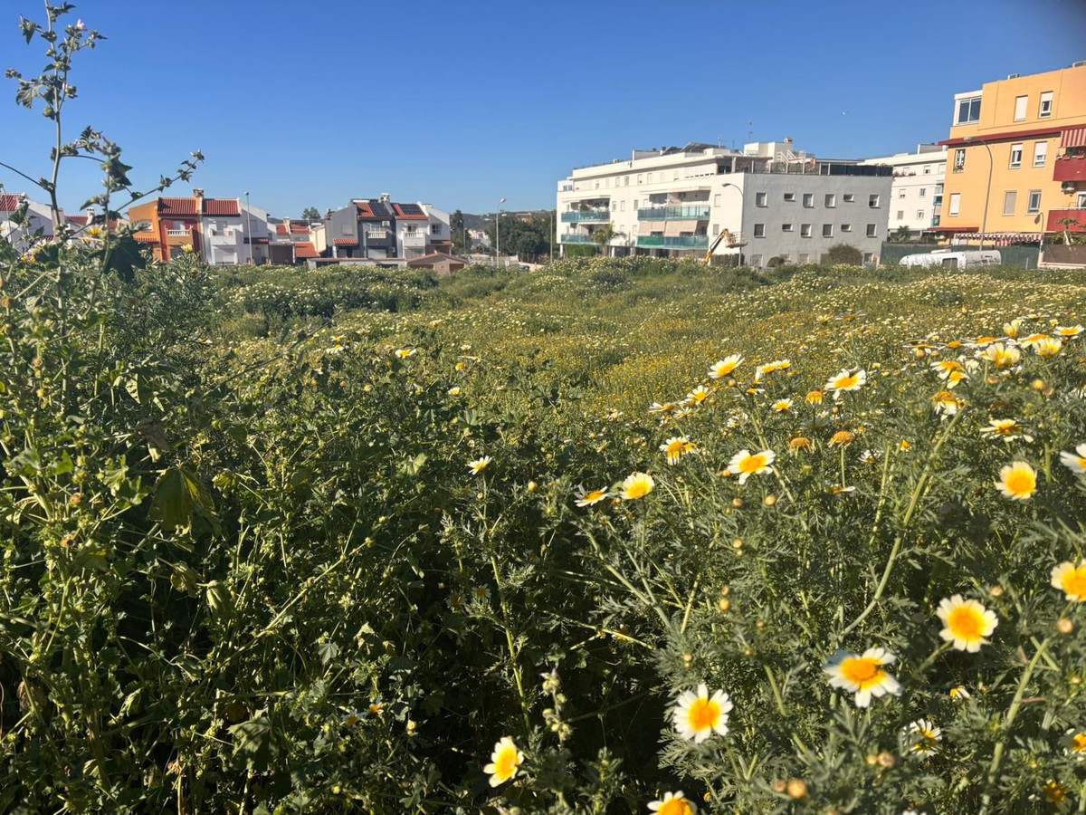 Property main view 3