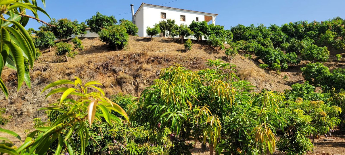 Property main view 2