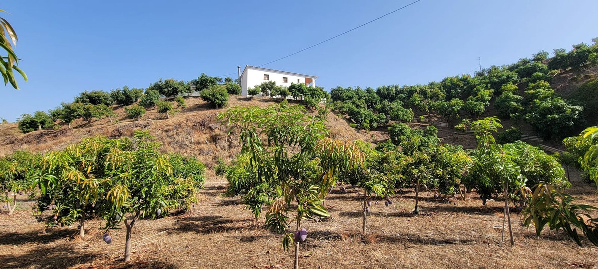 Property main view 3