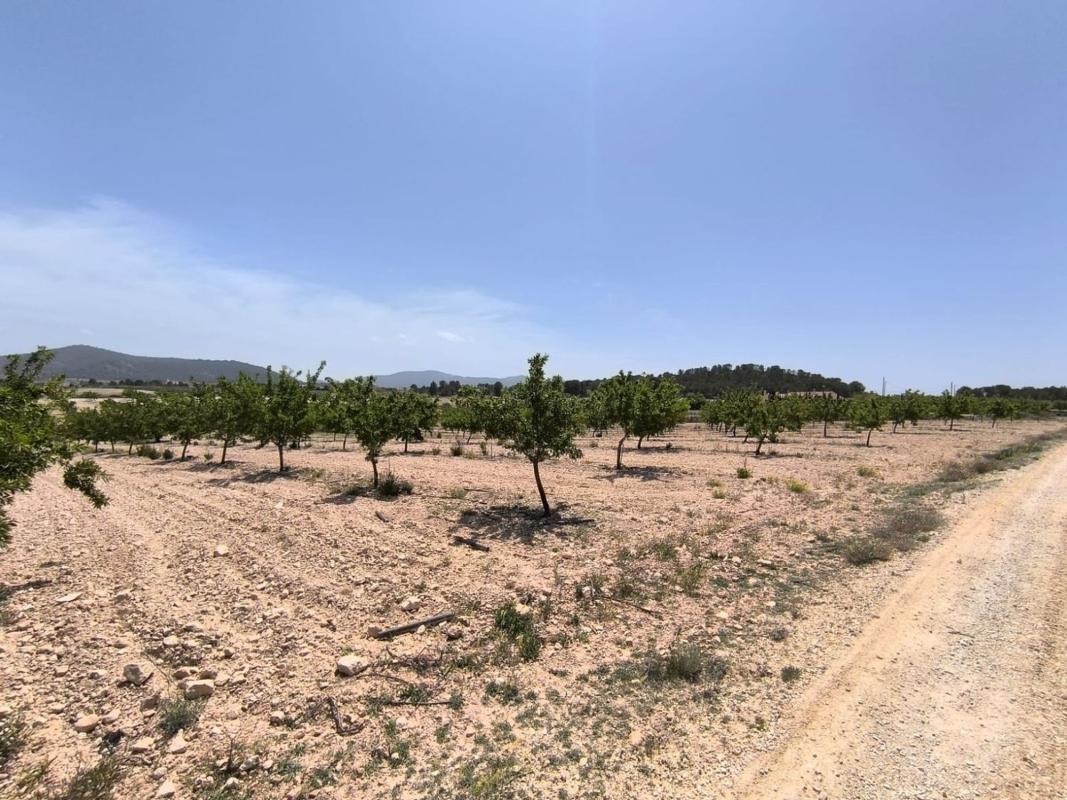Property main view 2