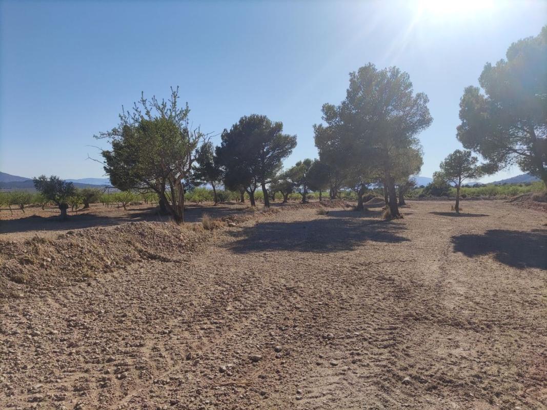 Property main view 10