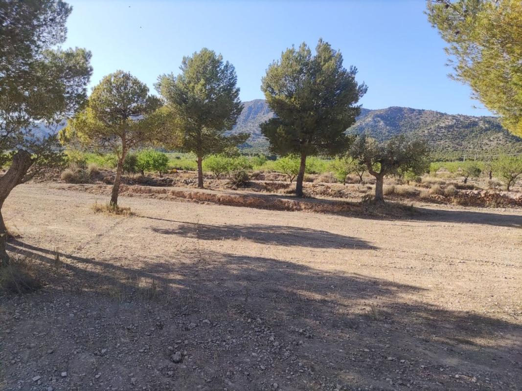 Property main view 2