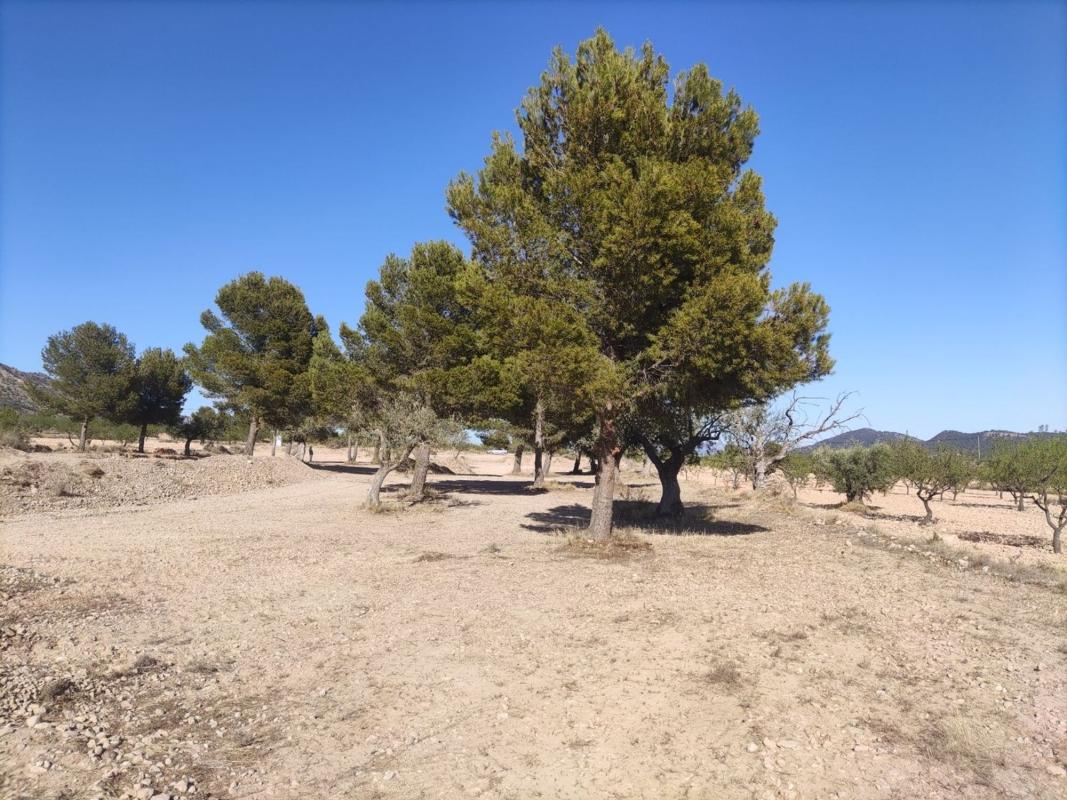 Property main view 6