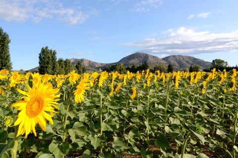 Property main view 46