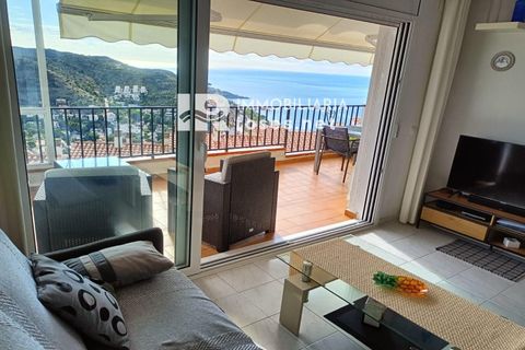 Property main view 11