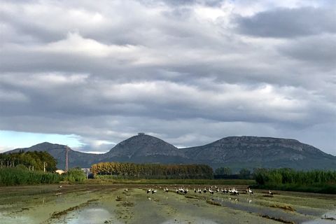 Property main view 43