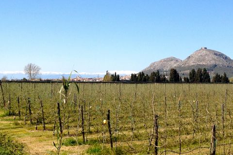 Property main view 44