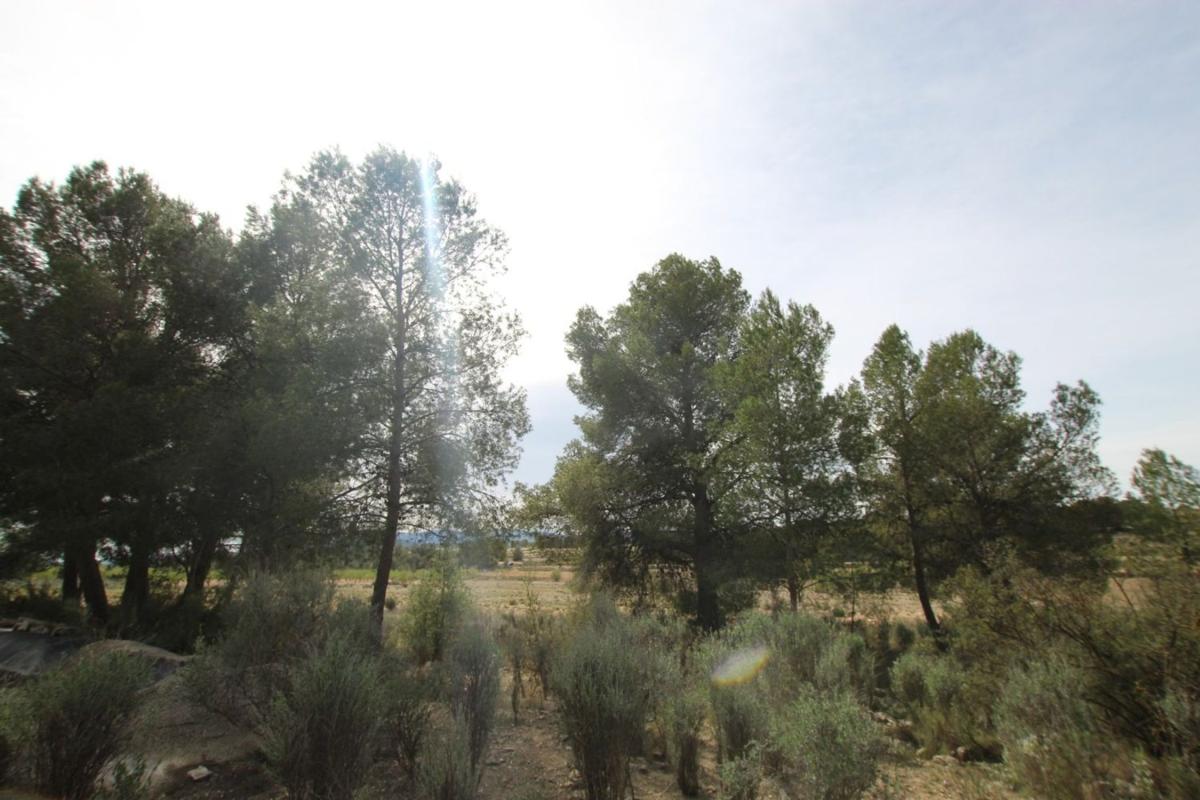 villa te koop in Monovar | 1 slaapkamers H622410