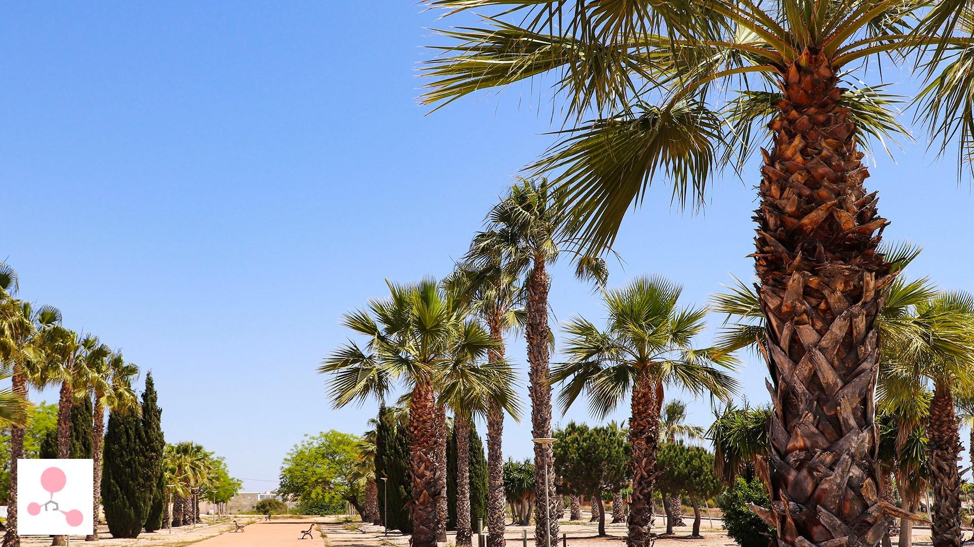 Property main view 14