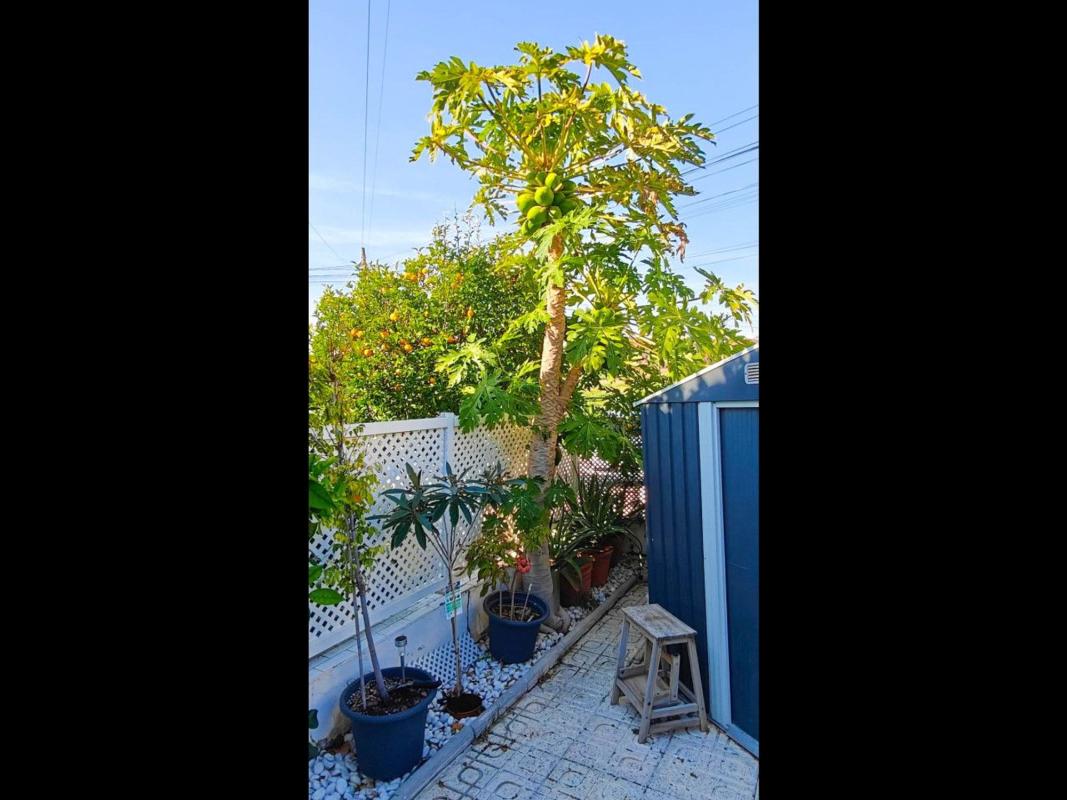 Property main view 22