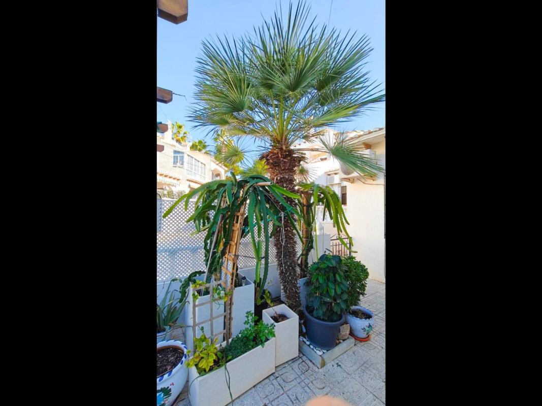 Property main view 24