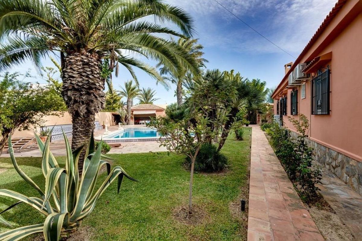 villa te koop in Torrevieja | 5 slaapkamers H644632