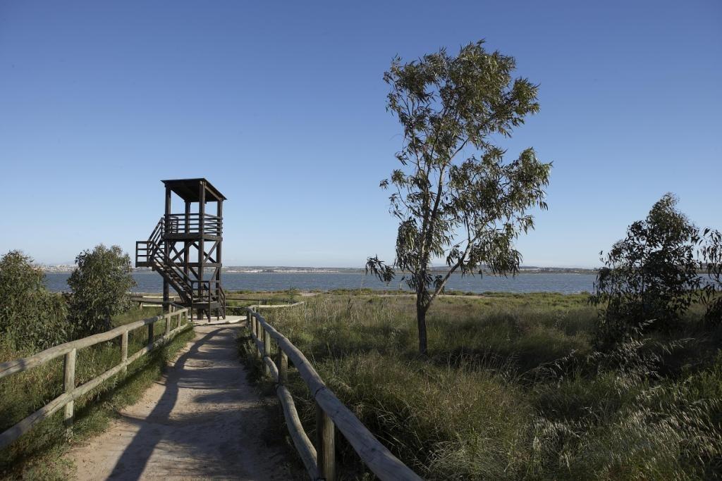 Nieuwbouw in Torrevieja-8