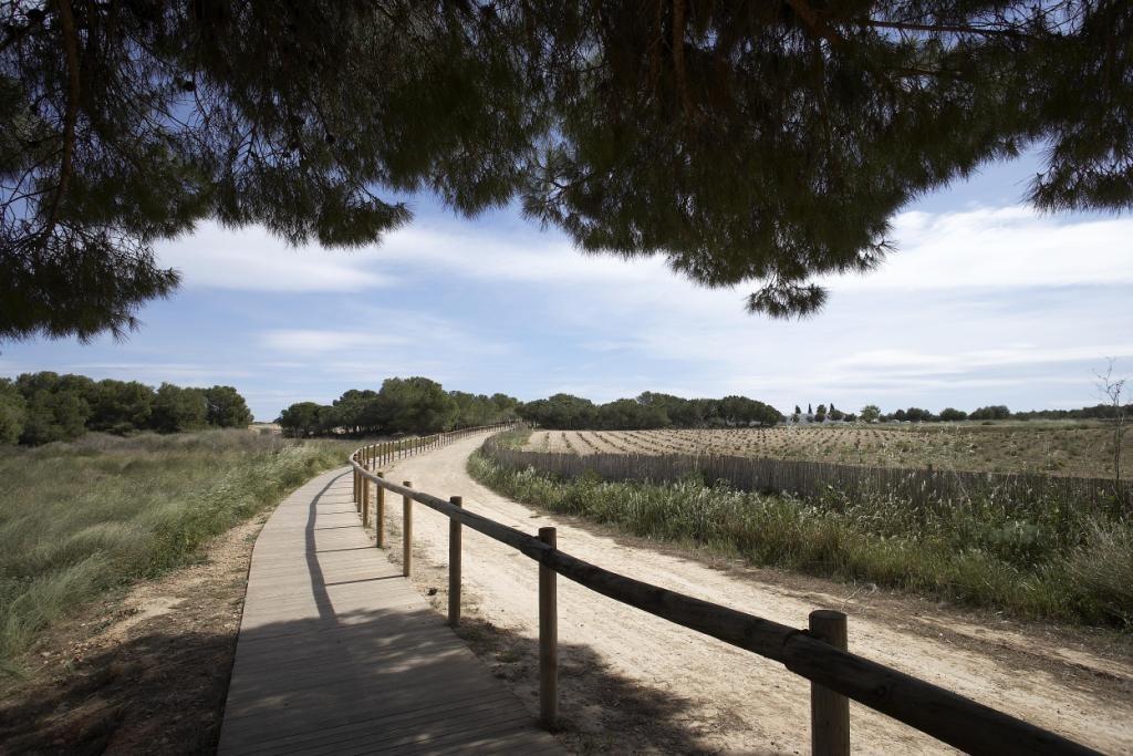 Nieuwbouw in Torrevieja-9